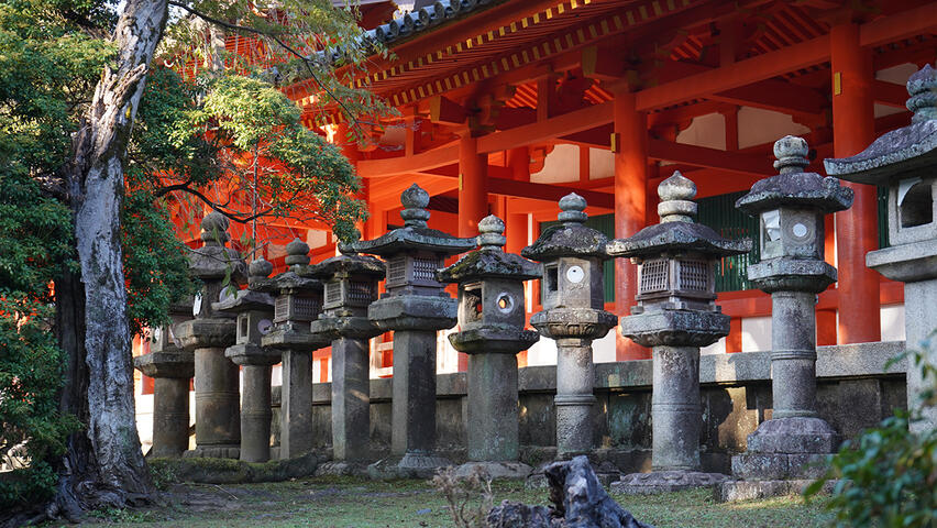 Lanternes japonaise